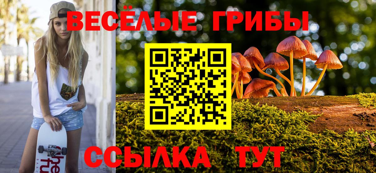 Псилоцибиновые грибы MAGIC MUSHROOMS  Галлюциногенные грибы мухоморы  Коркино  Вход с VPN 