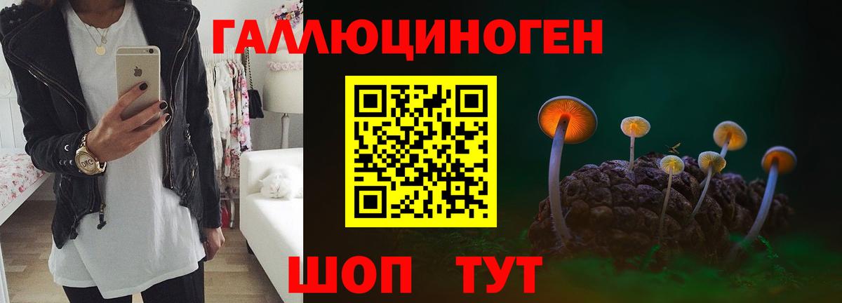 Галлюциногенные грибы Psilocybine cubensis Коркино